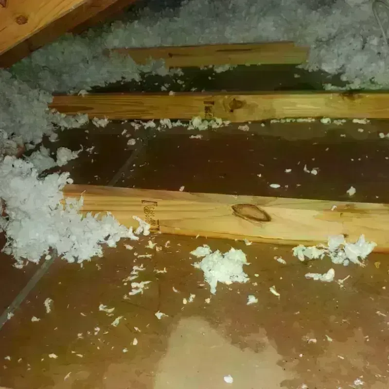 Attic Water Damage in Duvall, WA