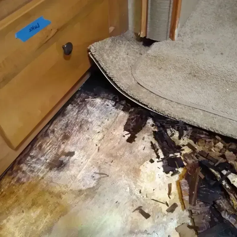 Wood Floor Water Damage in Duvall, WA